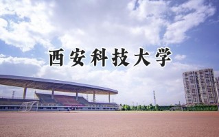 2024西安科技大学录取分数线：新疆最低446分