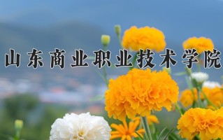 山东商业职业技术学院学费多少钱一年：5280-15000元/年（2025填报参考）