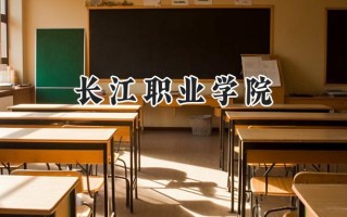 2024长江职业学院录取分数线：河南最低357分