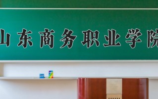 2025年山东商务职业学院在河南计划招生人数（附学费及专业录取分)