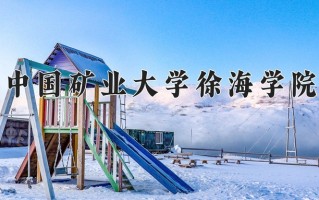 中国矿业大学徐海学院王牌专业有哪些？附2025最新王牌专业排名一览表