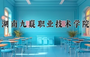 2025年湖南九嶷职业技术学院在新疆计划招生人数（附学费及专业录取分)