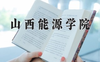 2025年山西能源学院在四川计划招生人数（附学费及专业录取分)