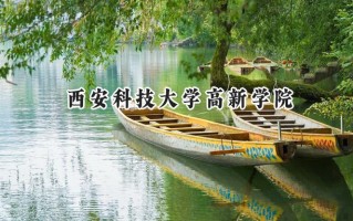 西安科技大学高新学院2024在福建录取分数线是多少？最低423分/最高486分