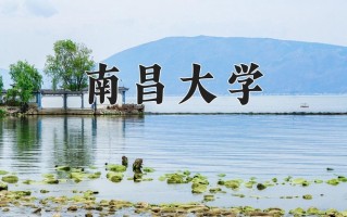 2025年南昌大学在新疆计划招生人数（附学费及专业录取分)