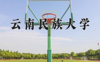 2025年云南民族大学在新疆计划招生人数（附学费及专业录取分)