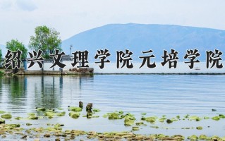 2025年绍兴文理学院元培学院在新疆计划招生人数（附学费及专业录取分)