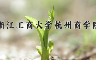 2025年浙江工商大学杭州商学院在河南计划招生人数（附学费及专业录取分)