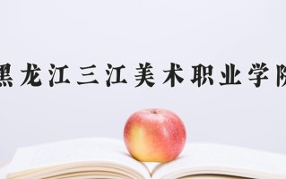 2025年黑龙江三江美术职业学院在河南计划招生人数（附学费及专业录取分)