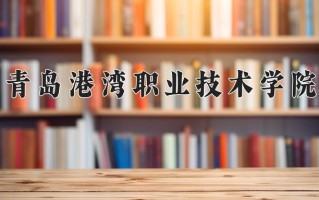 2025年青岛港湾职业技术学院在河南计划招生人数（附学费及专业录取分)