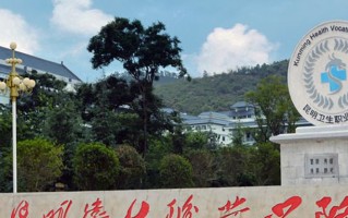 2024年昆明卫生职业学院录取分数线，河北最低298分