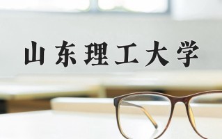 2025年山东理工大学在河南计划招生人数（附学费及专业录取分)