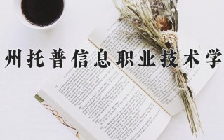 2025年苏州托普信息职业技术学院在四川计划招生人数（附学费及专业录取分)