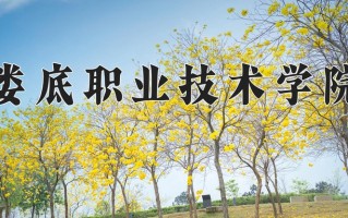 2025年娄底职业技术学院在四川计划招生人数（附学费及专业录取分)