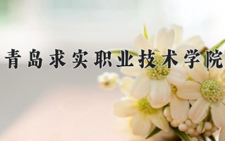 2025年青岛求实职业技术学院在河南计划招生人数（附学费及专业录取分)