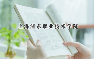 上海浦东职业技术学院2024在上海录取分数线是多少？最低172分/最高217分