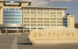 2024年黑龙江农业经济职业学院录取分数线，河北最低379分