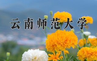 2025年云南师范大学在四川计划招生人数（附学费及专业录取分)