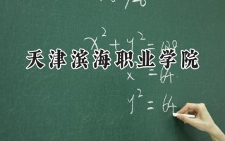 2024天津滨海职业学院录取分数线：山西最低345分