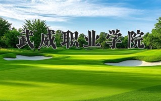2025年武威职业学院在四川计划招生人数（附学费及专业录取分)