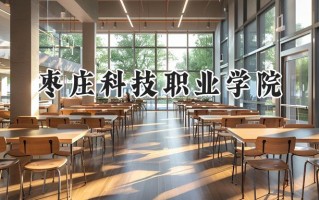 2024枣庄科技职业学院录取分数线：山西最低238分