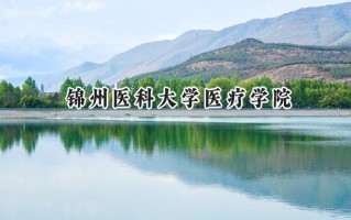 2024锦州医科大学医疗学院录取分数线：天津最低485分