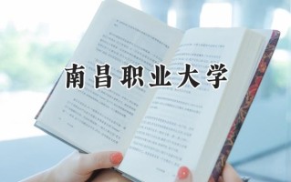 南昌职业大学2024在青海录取分数线是多少？最低228分/最高260分