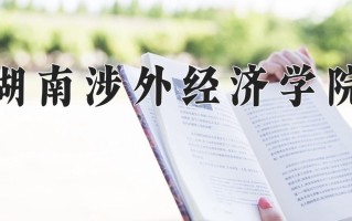 2025年湖南涉外经济学院在四川计划招生人数（附学费及专业录取分)