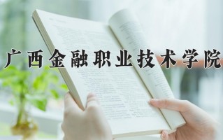 2024年广西金融职业技术学院录取分数线，内蒙古最低224分