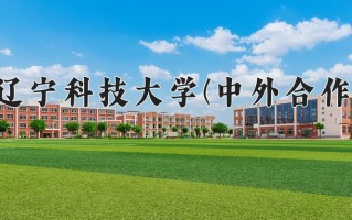 2025年辽宁科技大学(中外合作)在重庆计划招生人数（附学费及专业录取分)