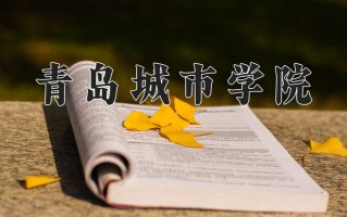 2025年青岛城市学院在四川计划招生人数（附学费及专业录取分)