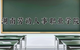 2025年湖南劳动人事职业学院在四川计划招生人数（附学费及专业录取分)