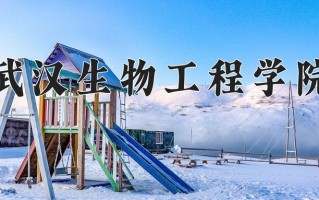 2025年武汉生物工程学院在四川计划招生人数（附学费及专业录取分)