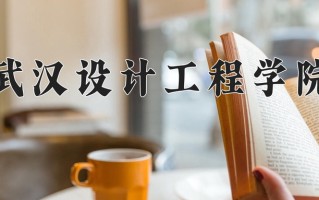 2025年武汉设计工程学院在四川计划招生人数（附学费及专业录取分)