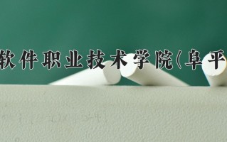 2025年河北软件职业技术学院(阜平校区)在河北计划招生人数（附学费及专业录取分)