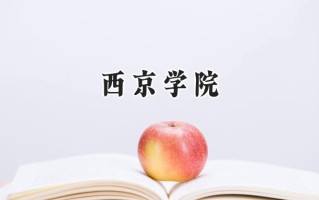 西京学院2024在山东录取分数线是多少？最低454分/最高496分