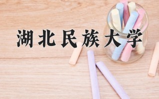 2025年湖北民族大学在河南计划招生人数（附学费及专业录取分)