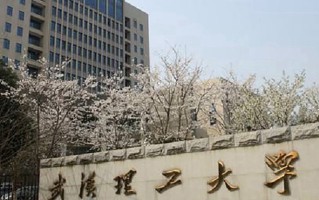 武汉理工大学2024年各学科排名一览表！附教育部评级比例