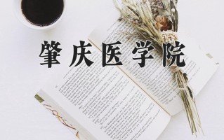2024年肇庆医学院录取分数线，新疆最低266分