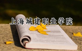 2024上海城建职业学院录取分数线：宁夏最低297分