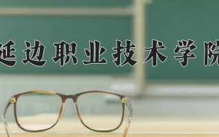 2025年延边职业技术学院在新疆计划招生人数（附学费及专业录取分)