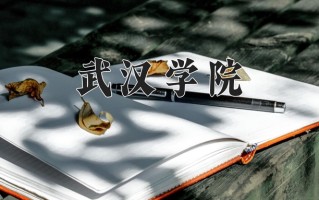 2025年武汉学院在四川计划招生人数（附学费及专业录取分)