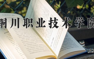 2025年铜川职业技术学院在河南计划招生人数（附学费及专业录取分)