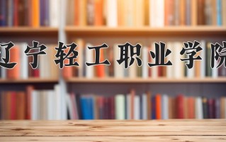 2024年辽宁轻工职业学院录取分数线，新疆最低170分