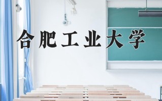 2025年合肥工业大学在新疆计划招生人数（附学费及专业录取分)