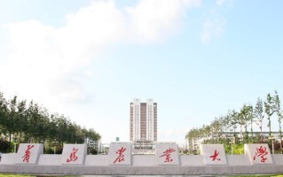广东考生510分物理类能上什么大学？ 附2024年能上的院校名单