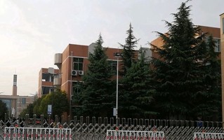 2024年郑州职业技术学院录取分数线，河北最低363分