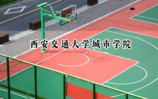 2024西安交通大学城市学院录取分数线：宁夏最低407分