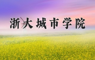 2025年浙大城市学院在四川计划招生人数（附学费及专业录取分)