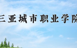 2025年三亚城市职业学院在新疆计划招生人数（附学费及专业录取分)